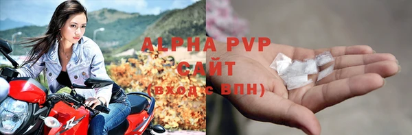 прущие грибы Арсеньев