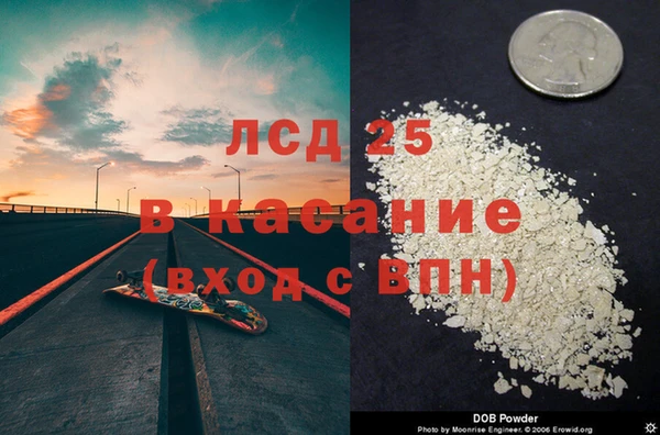 прущие грибы Арсеньев