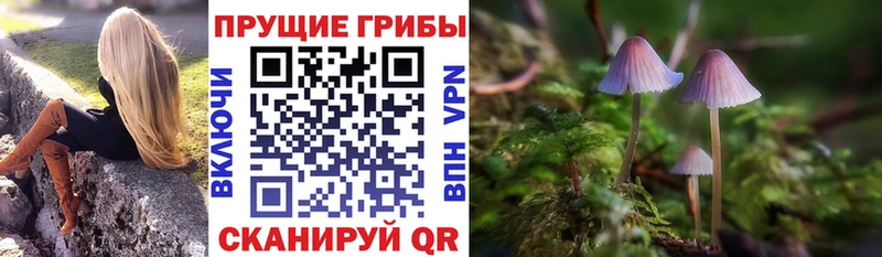 MEGA онион  Мензелинск  Галлюциногенные грибы GOLDEN TEACHER  как найти наркотики 